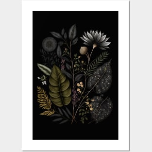 Dark Academia Floral Posters and Art